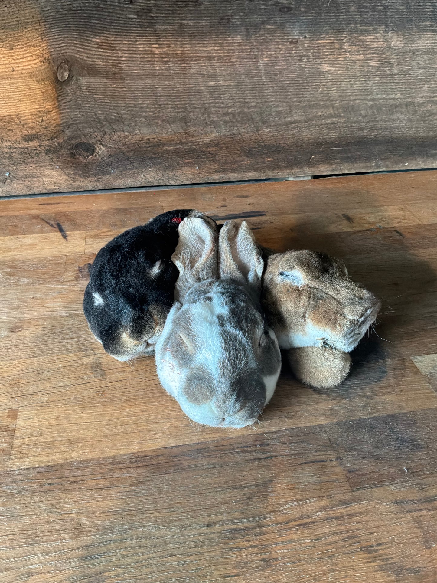 Rabbit Heads