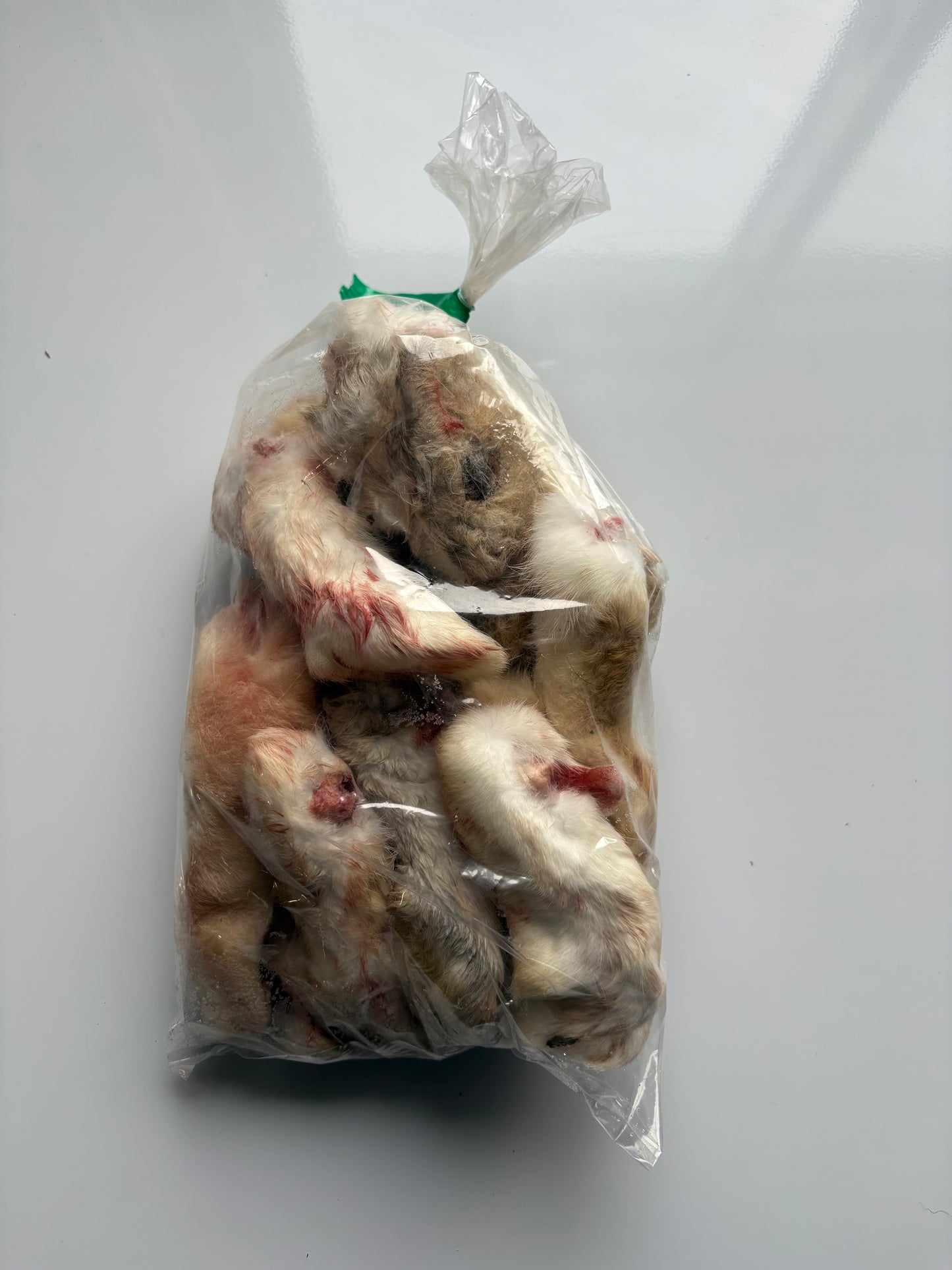 Rabbit Feet