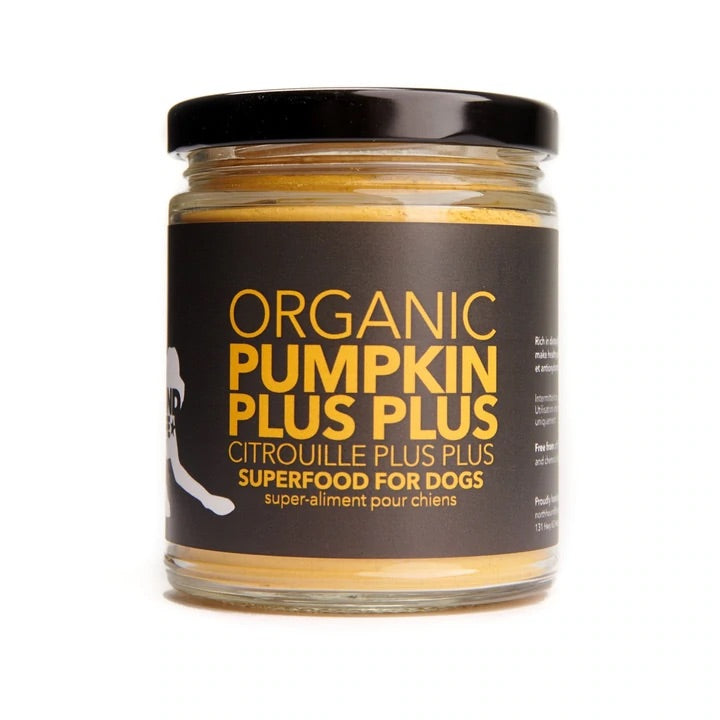 North Hound Life Pumpkin Plus
