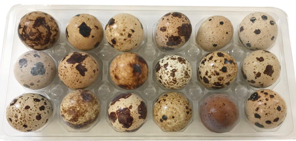 Quail Eggs