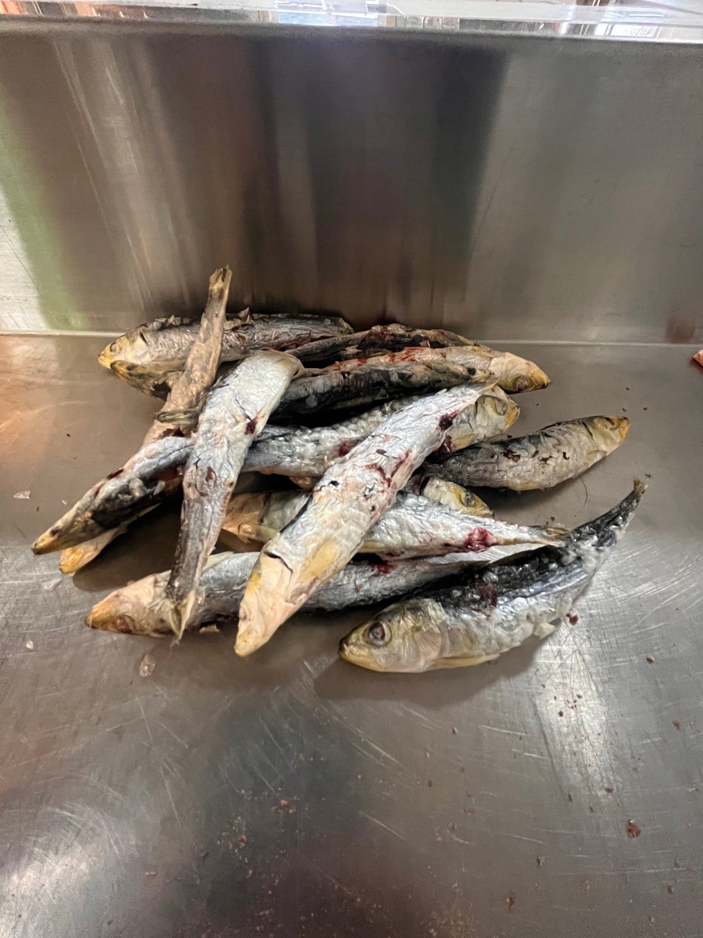 Freeze Dried Sardines