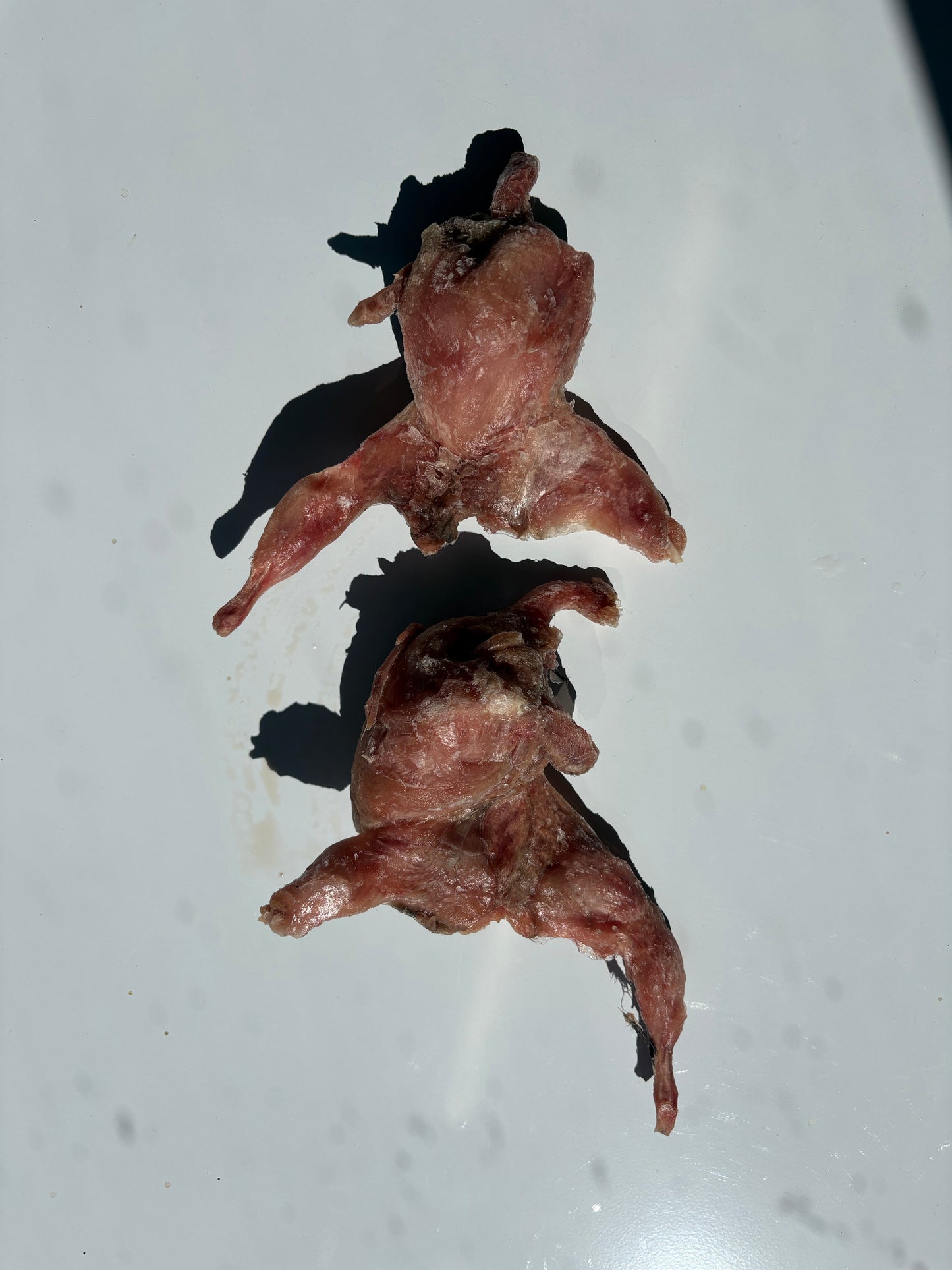 Featherless Whole Quail