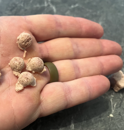 Freeze Dried Venison Bites