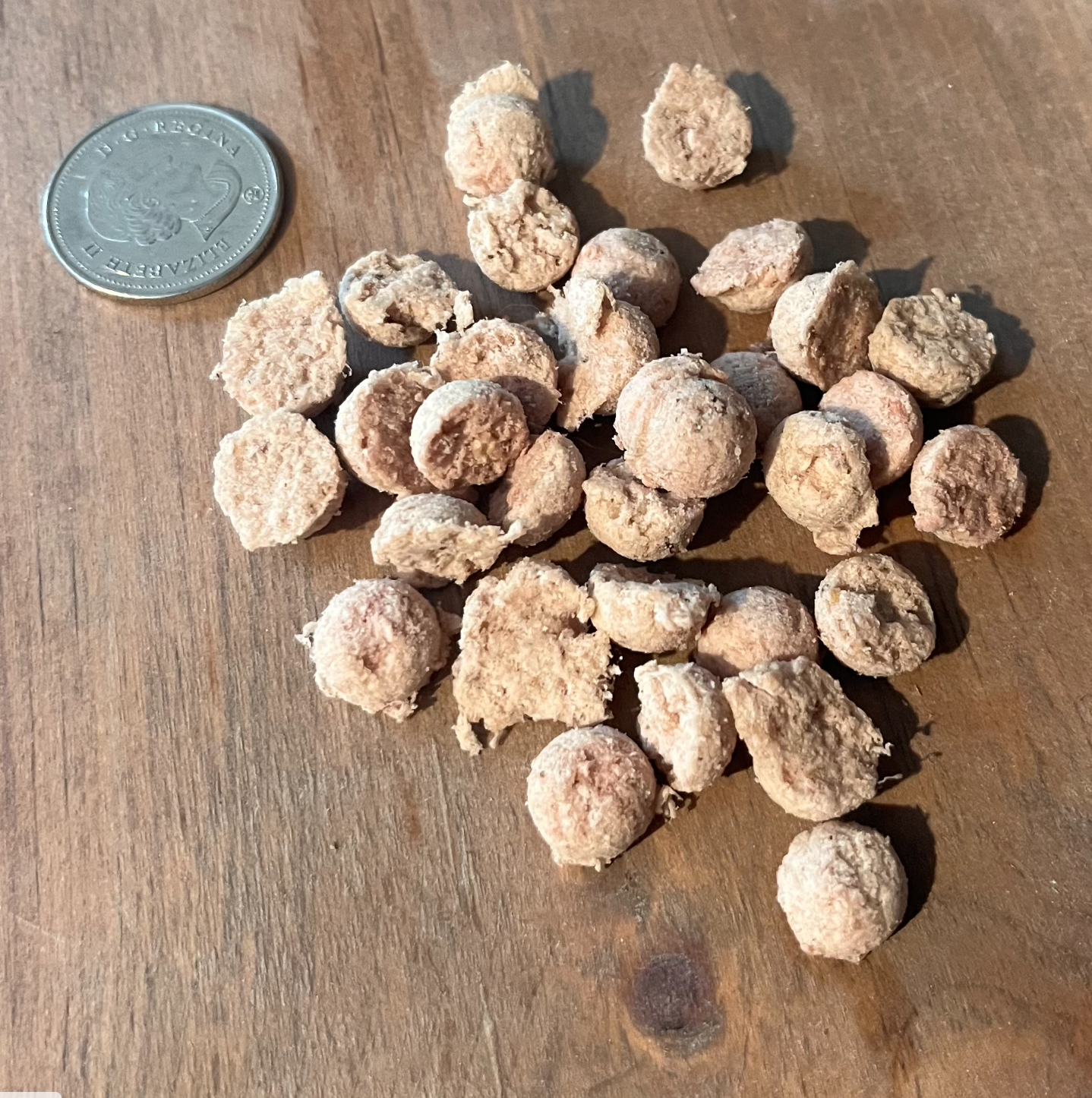Freeze Dried Venison Bites