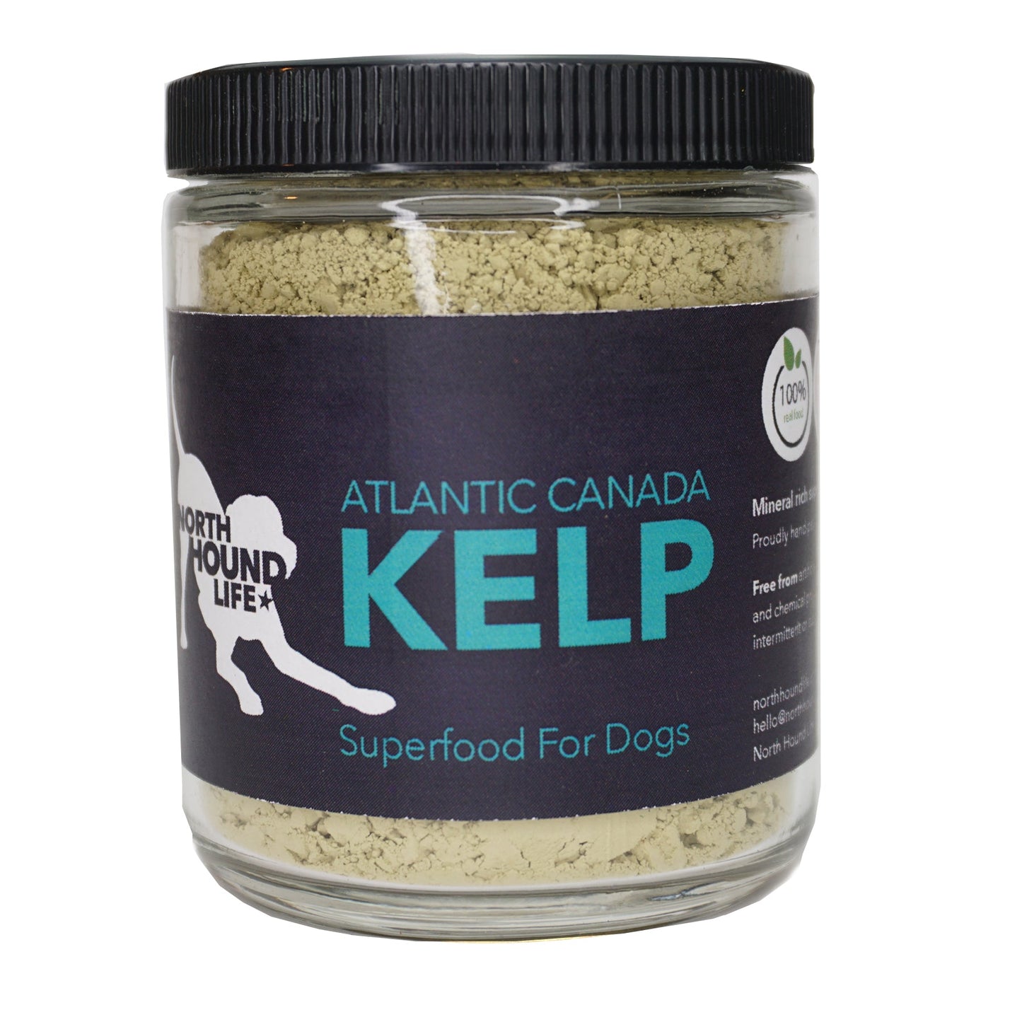 North Hound Life Atlantic Sea Kelp