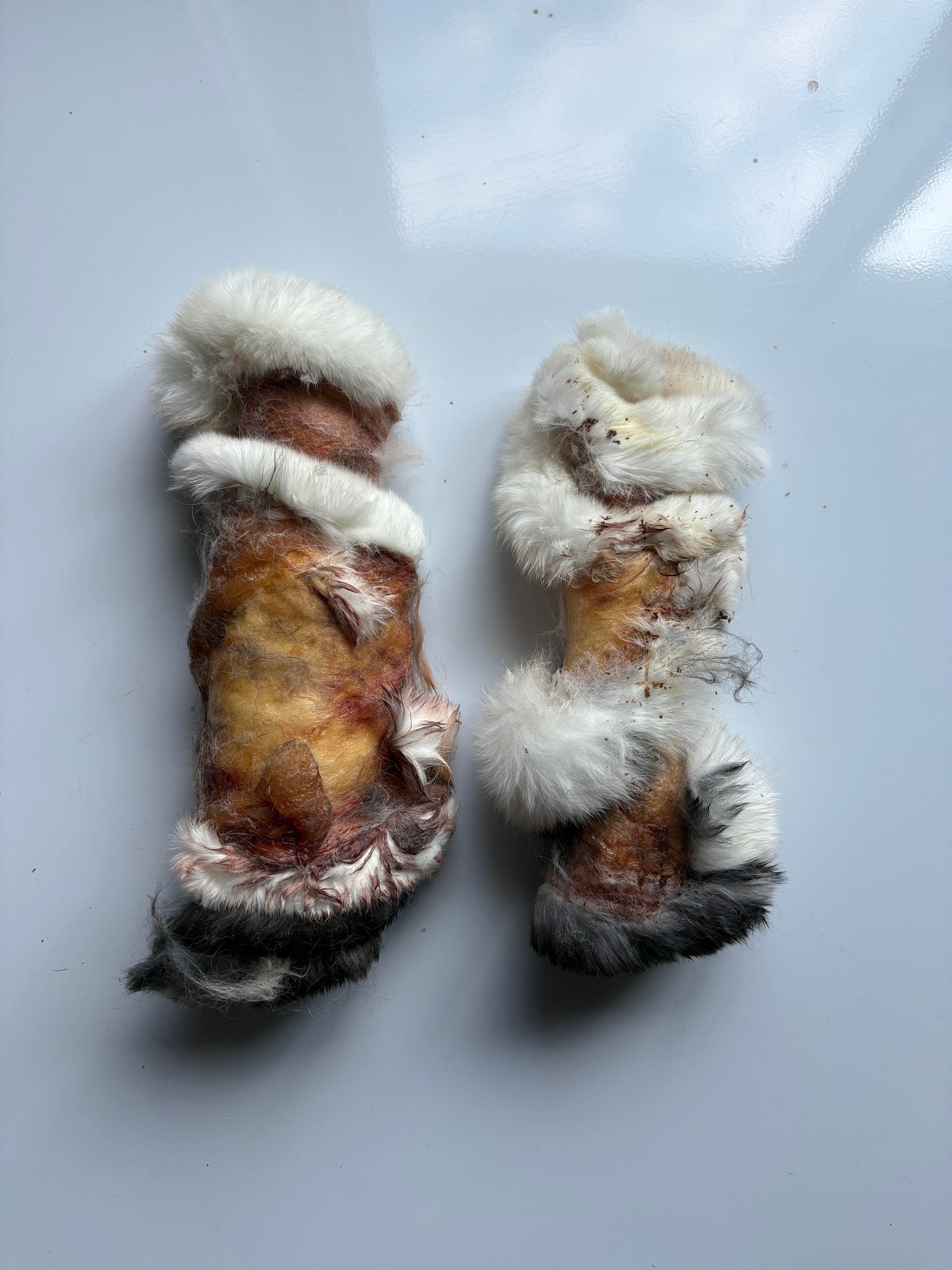 Rabbit Roll